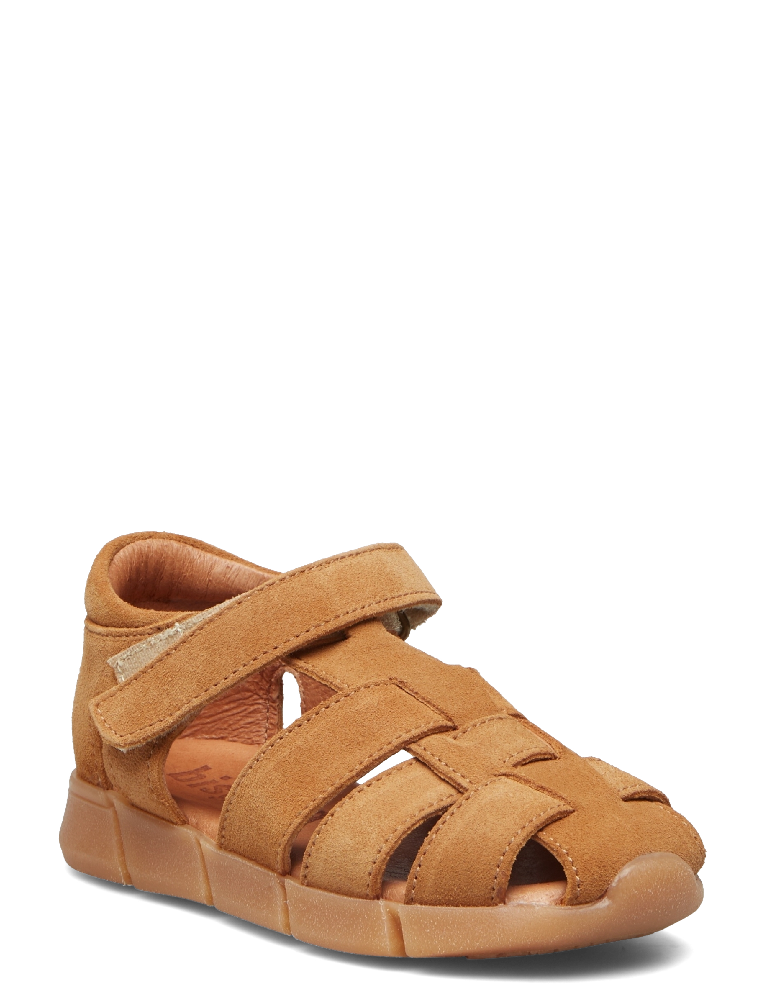 bisgaard celius s - CAMEL