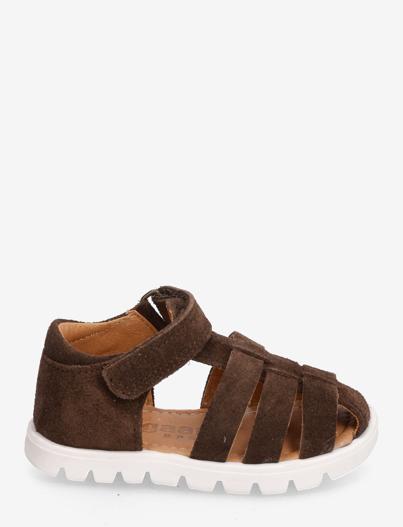 Bisgaard - bisgaard carlo - brown - 1