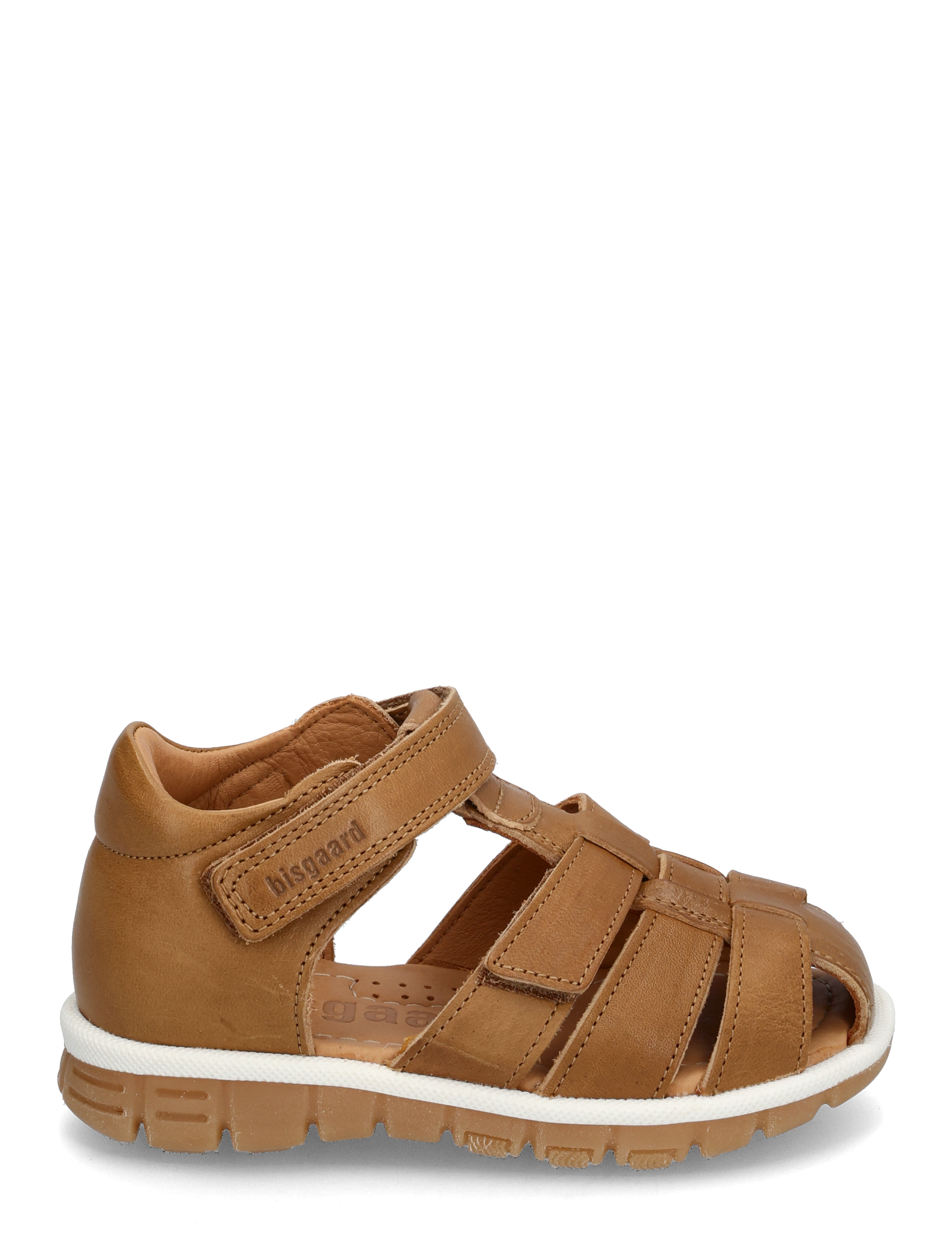 Bisgaard - bisgaard angus - sommarfynd - bambi - 1