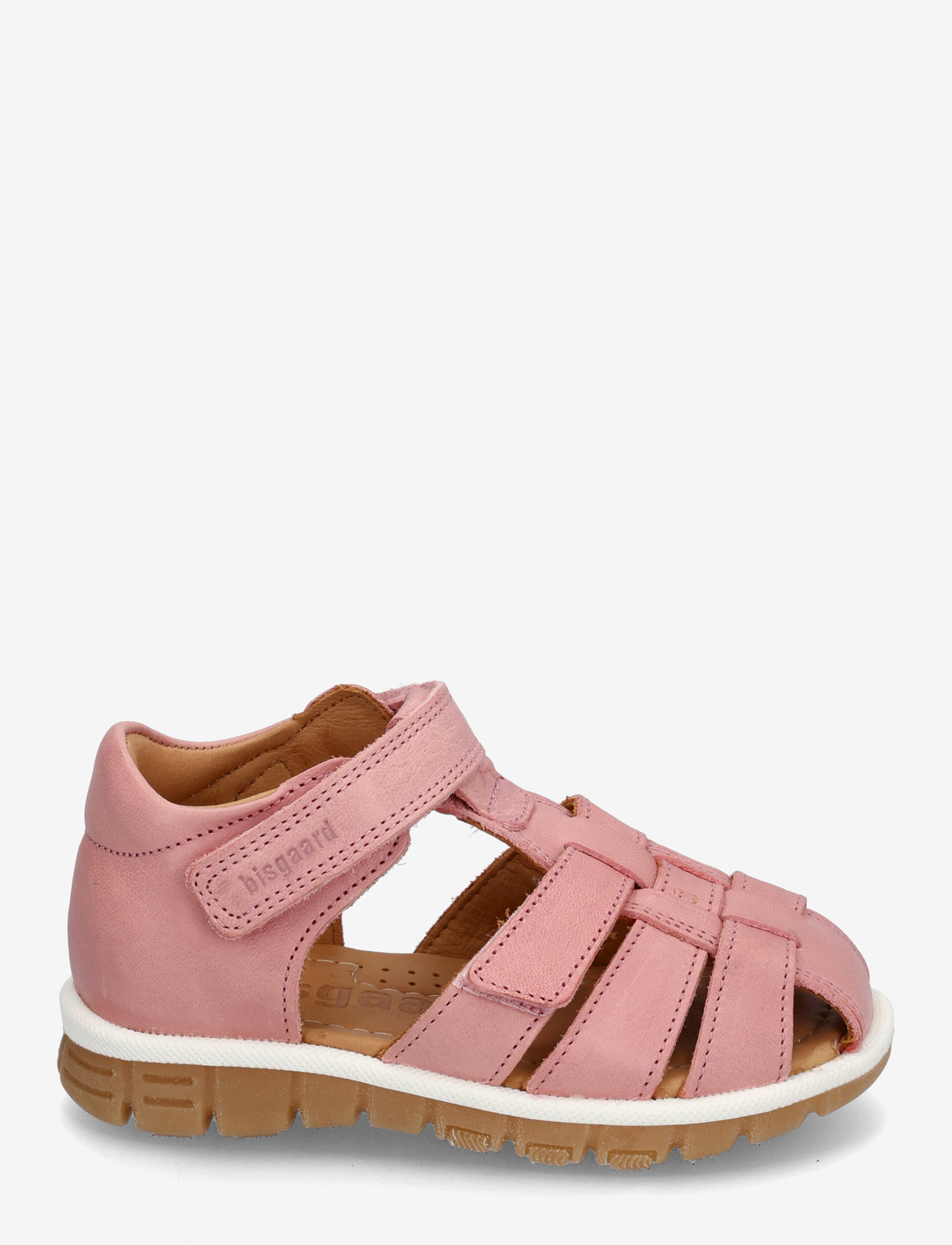 Bisgaard - bisgaard angus - sünnipäevakingitused - rose - 1