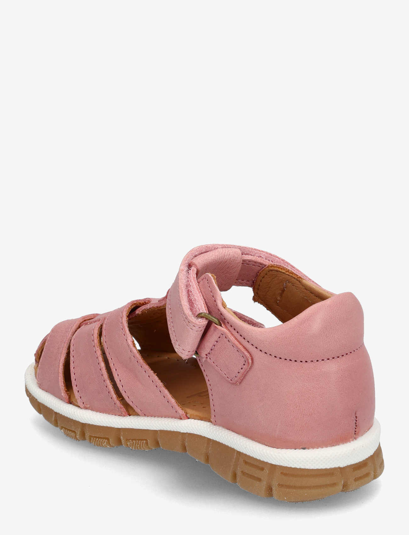 Bisgaard - bisgaard angus - sünnipäevakingitused - rose - 2