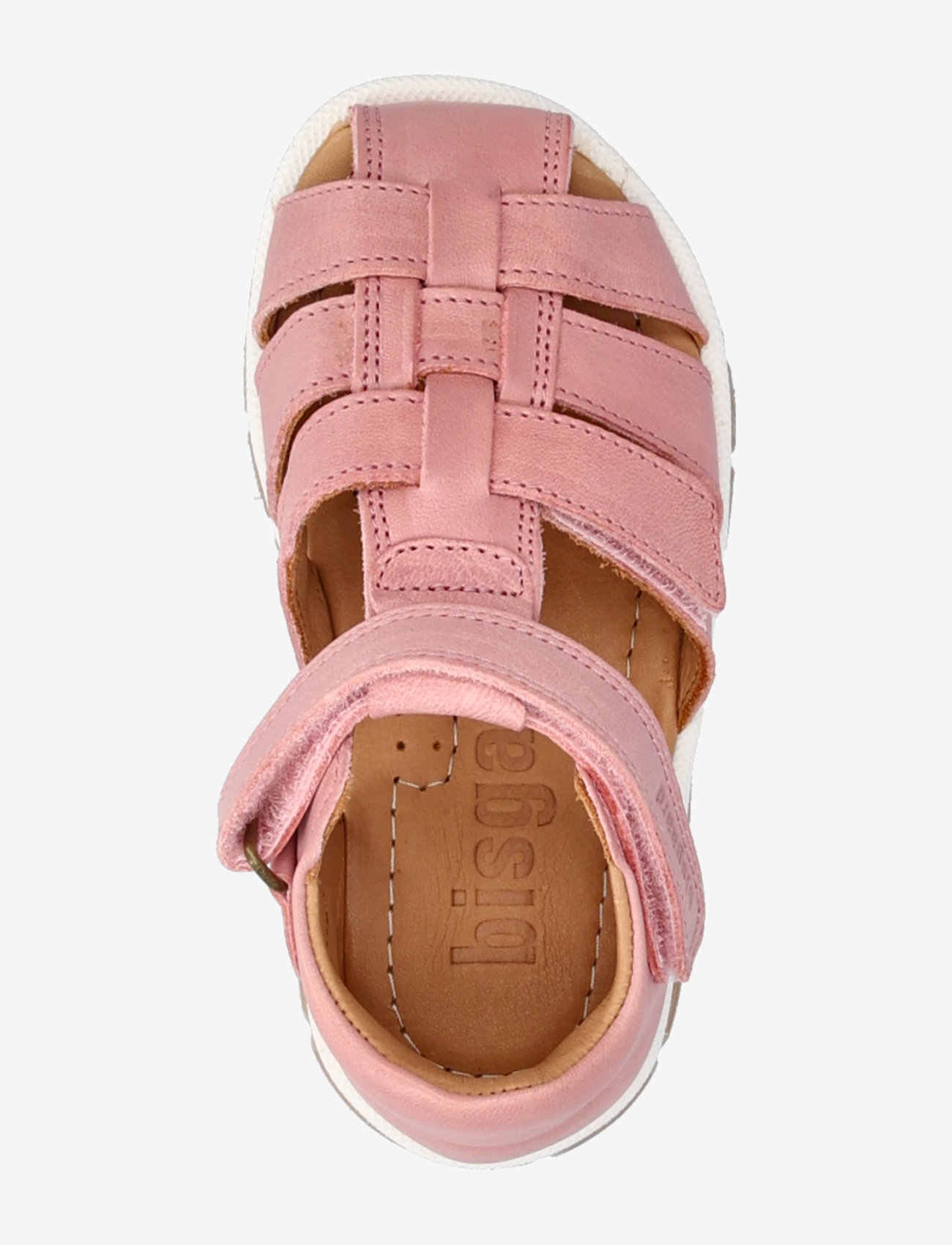 Bisgaard - bisgaard angus - sünnipäevakingitused - rose - 3