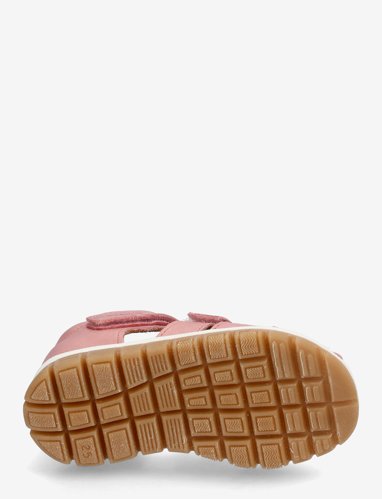 Bisgaard - bisgaard angus - sünnipäevakingitused - rose - 4