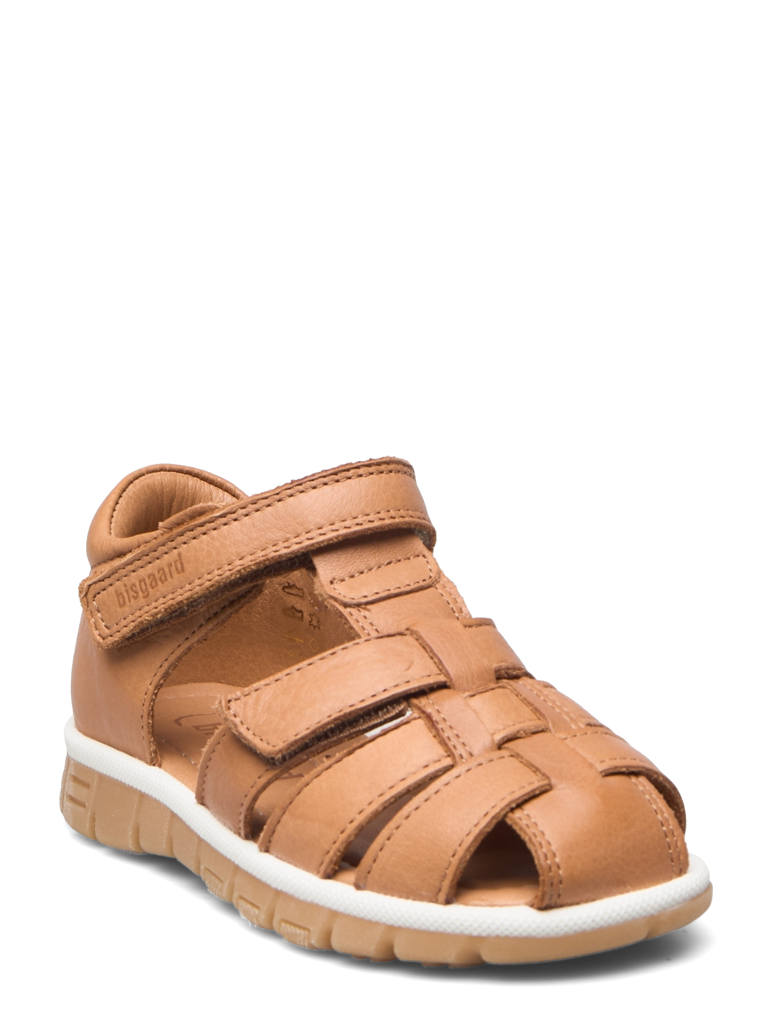 bisgaard angus - COGNAC