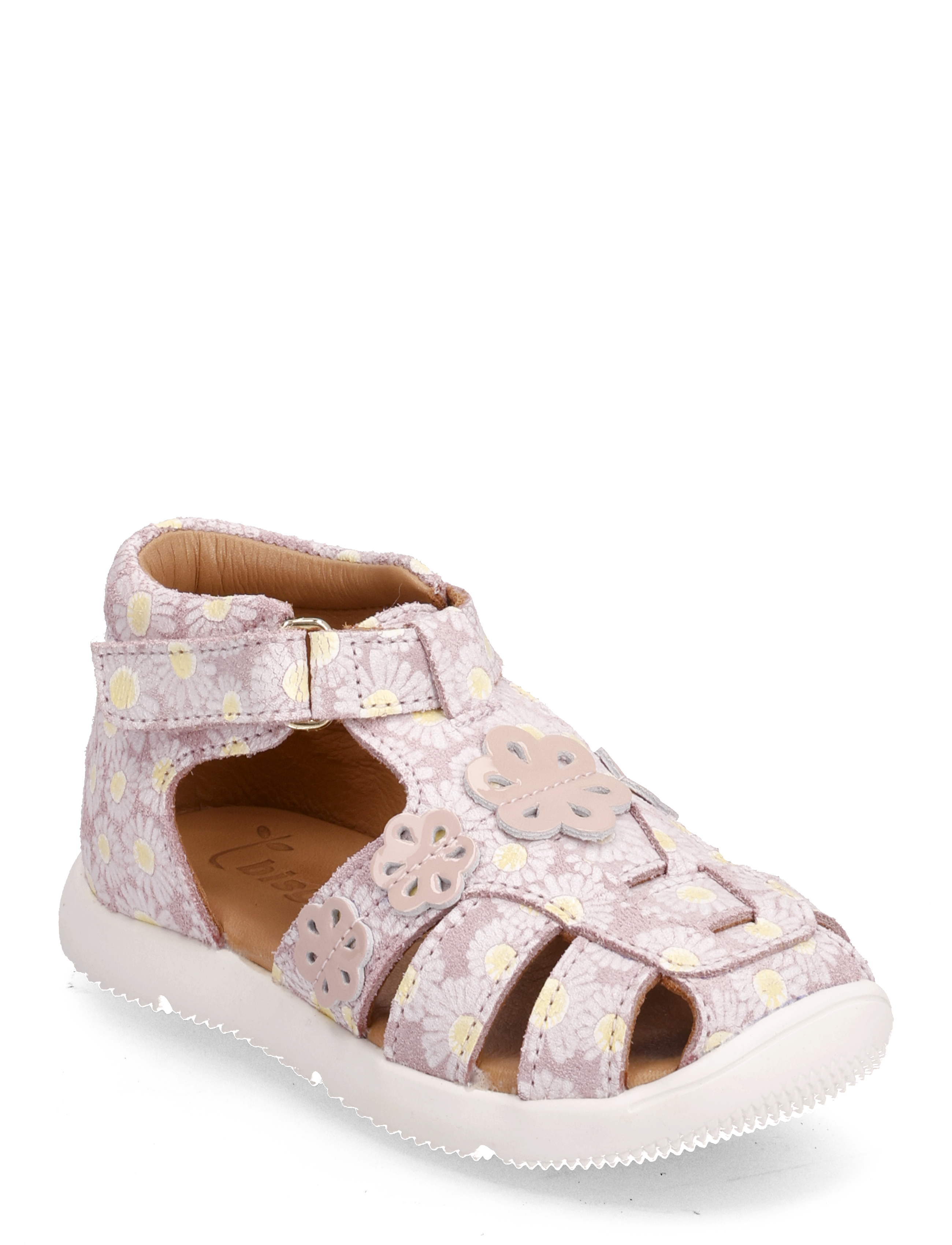 bisgaard alaiya - ROSE FLOWERS