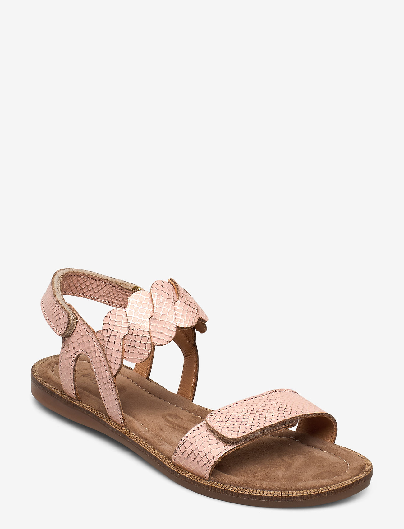 CORAL