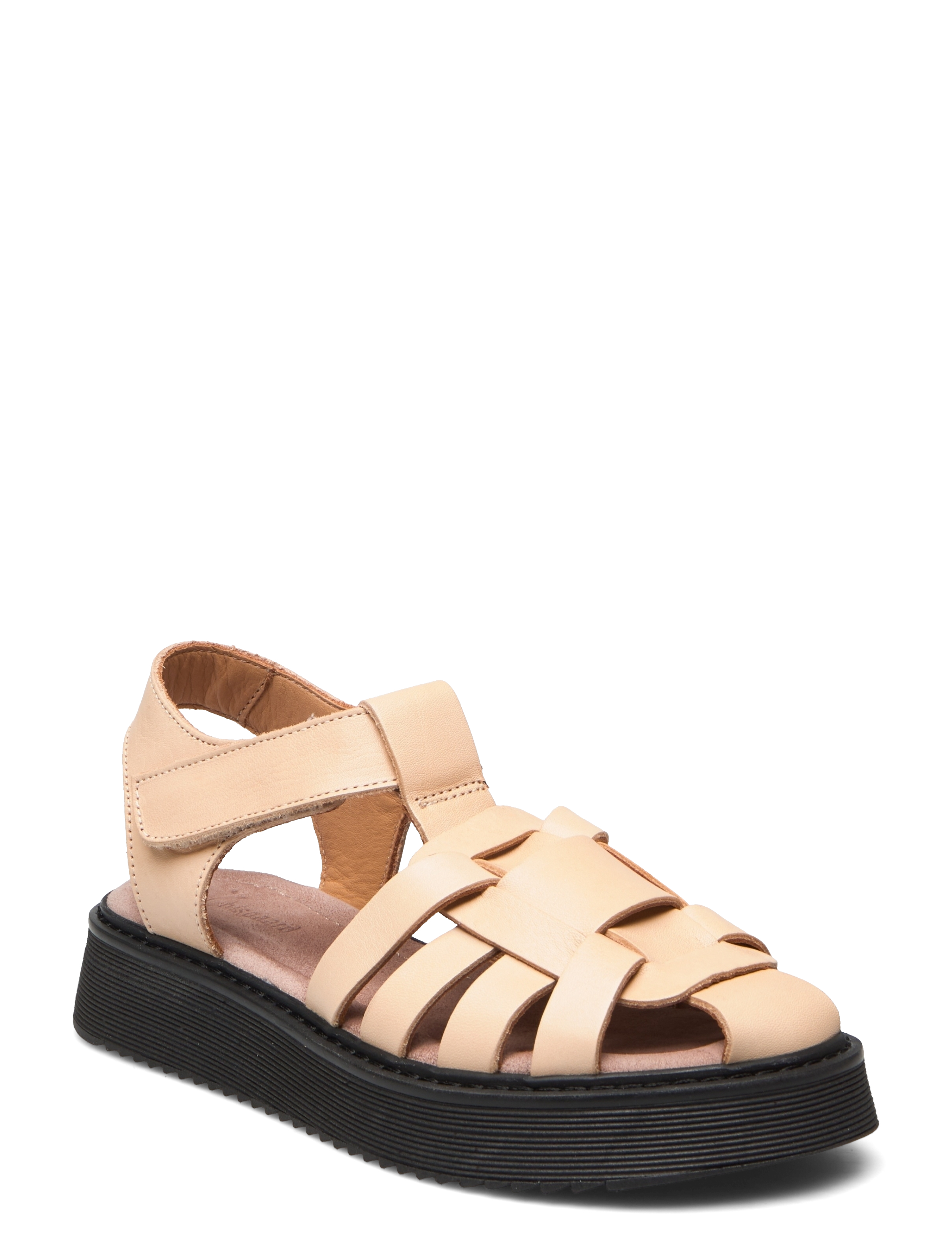 bisgaard alison - CREME