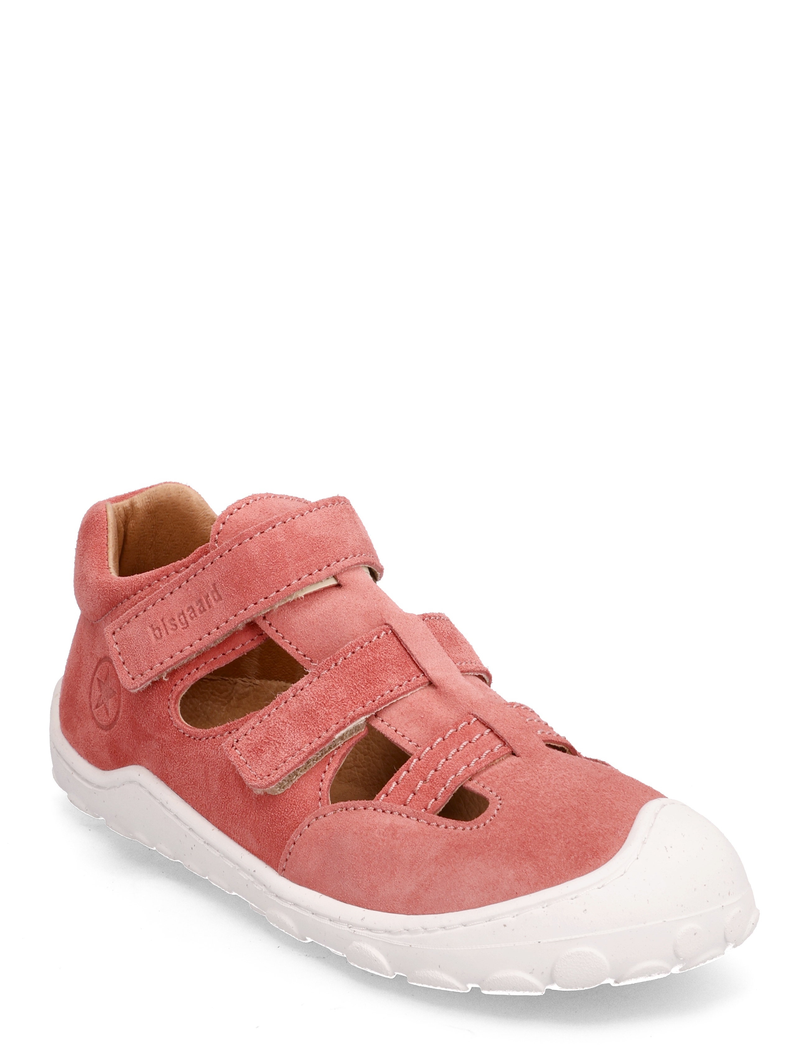 bisgaard flynn - CORAL