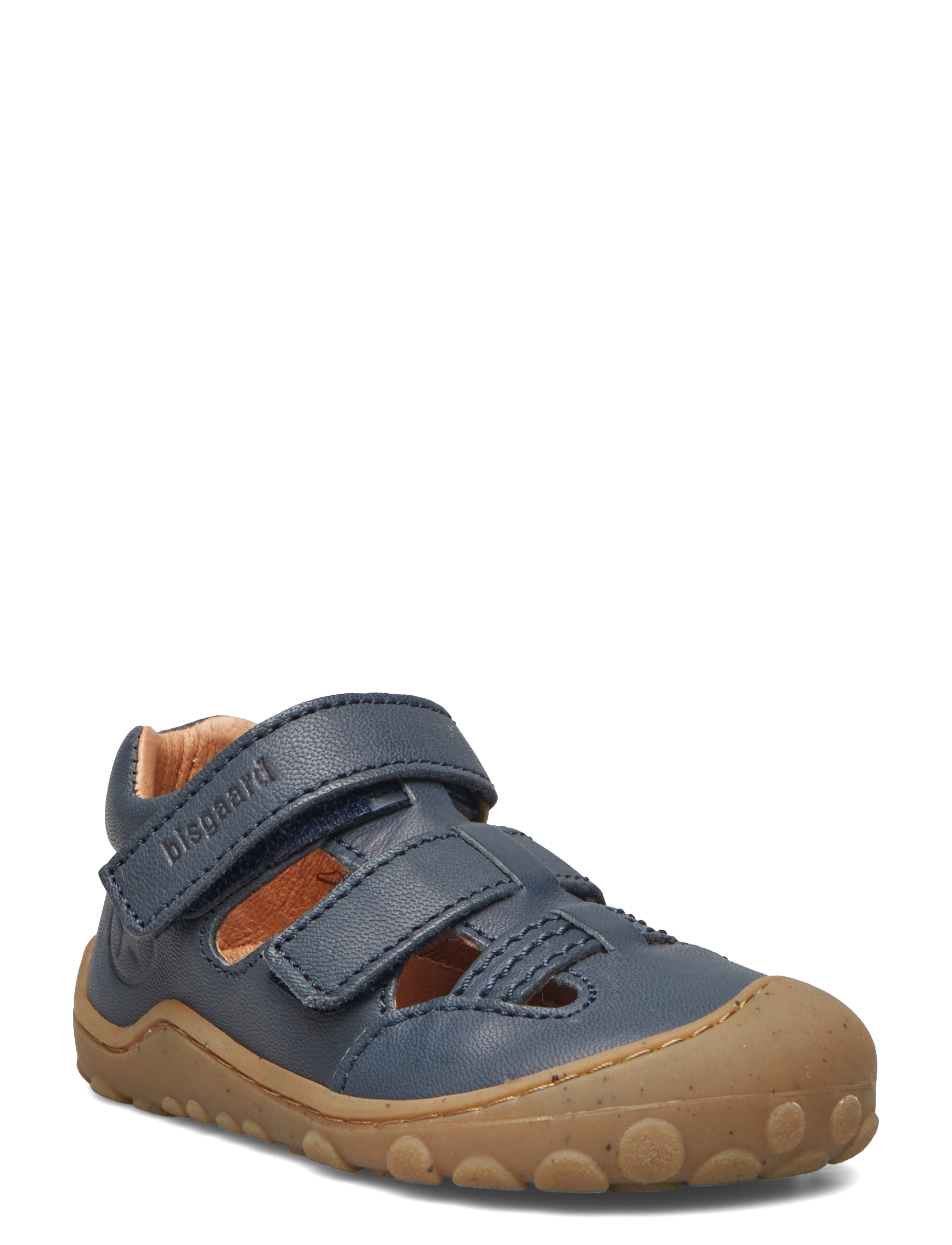 bisgaard flynn - MIDNIGHT