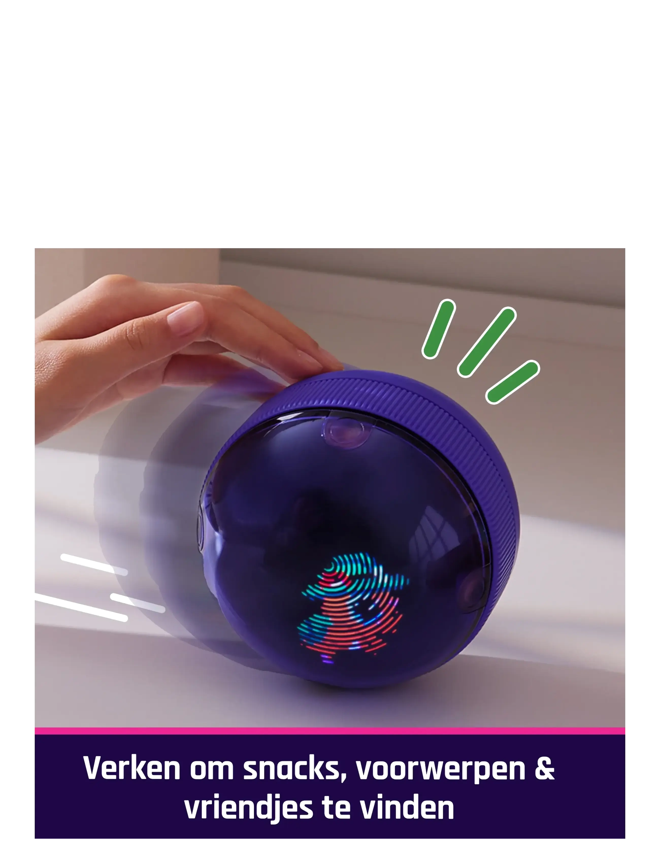 Bitzee - Bitzee Interactive Hamsterball - interaktive dyr - muti - 1