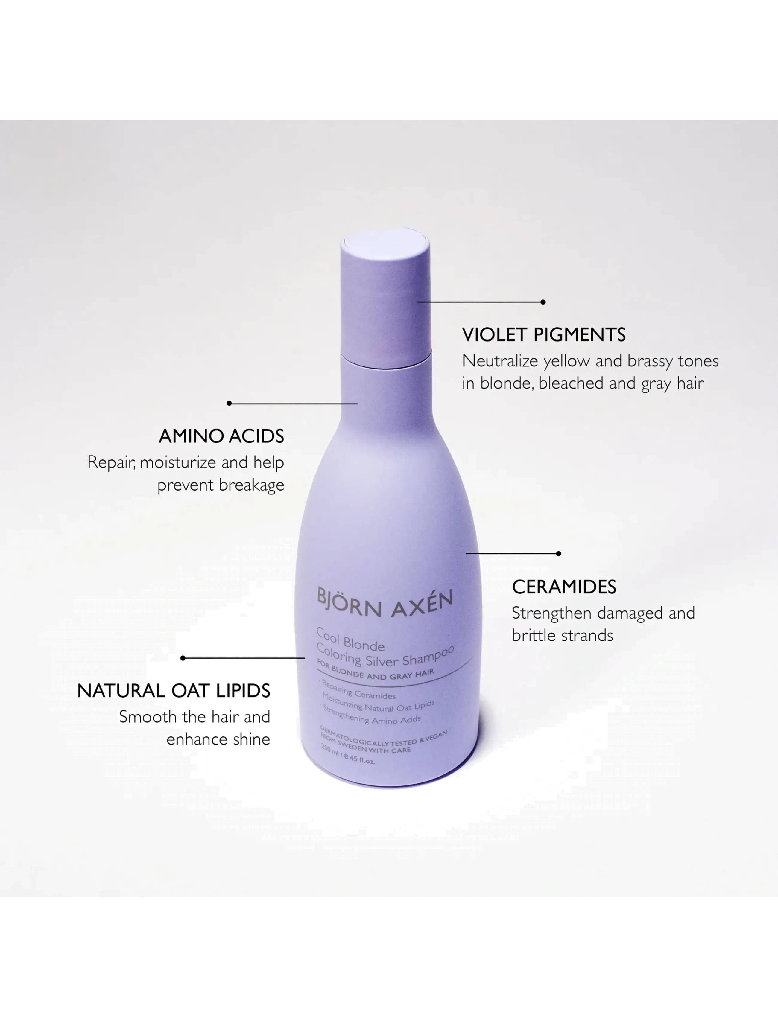 Björn Axén - Cool Blonde Coloring Silver Shampoo - silvershampoo - no colour - 1