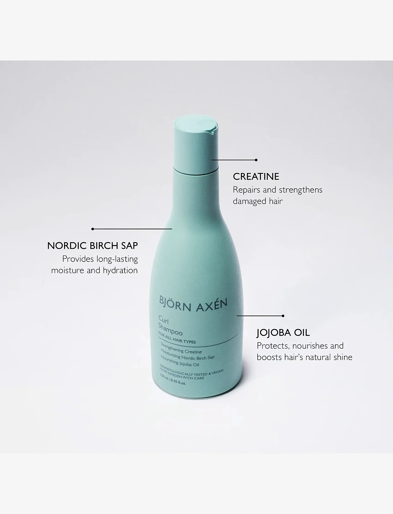 Björn Axén - Curl Shampoo - hårpleje - no colour - 0