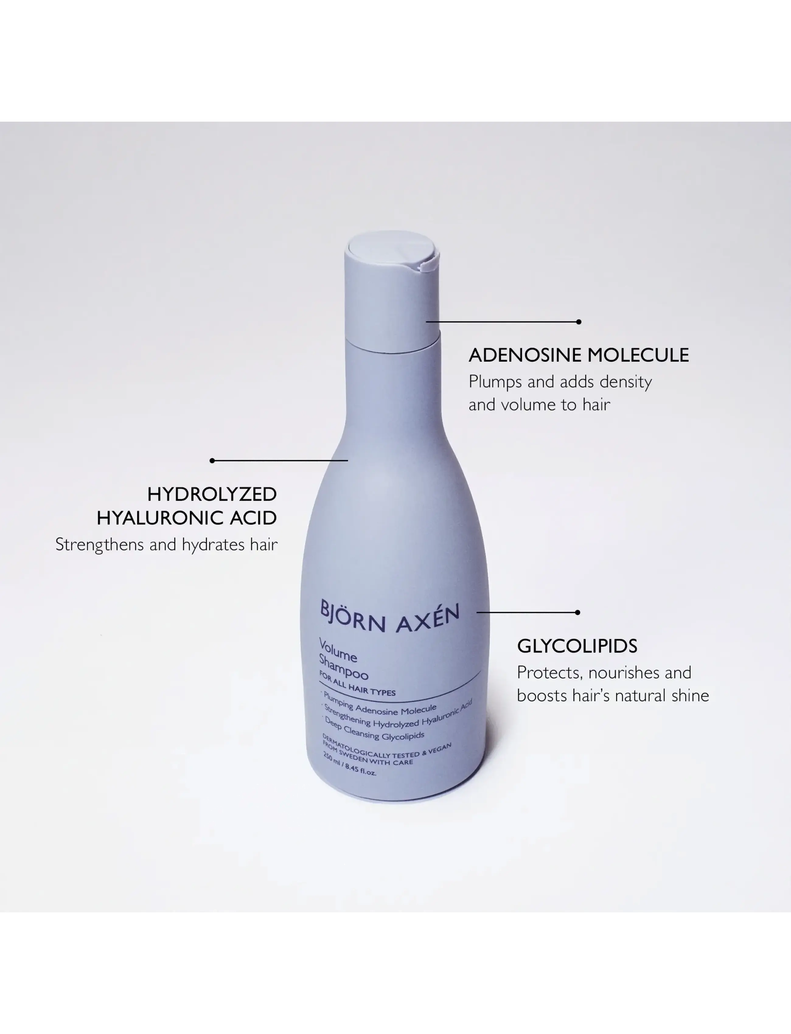 Björn Axén - Volume Shampoo 250 ml - shampoo - no colour - 1