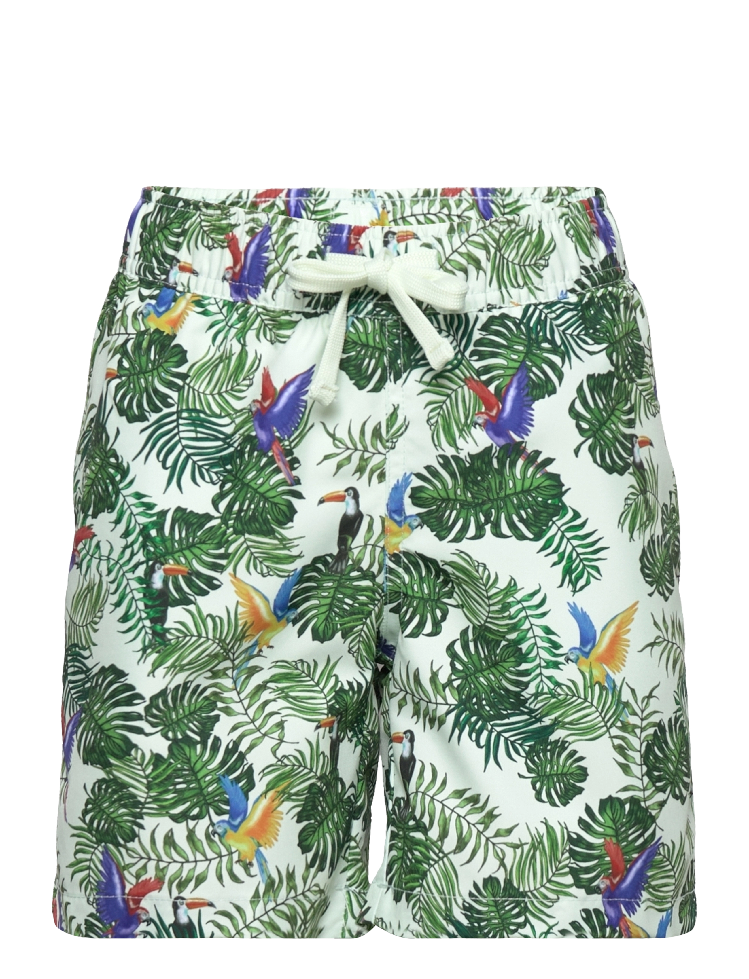 BB TROPICAL BIRDS