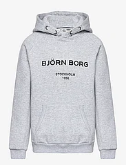 Björn Borg - BORG HOODIE - huvtröjor - light grey melange - 0