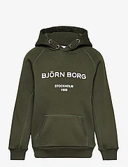 Björn Borg - BORG HOODIE - džemperiai su gobtuvu - rosin - 0