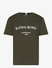 Björn Borg - BORG LOGO T-SHIRT - kortærmede t-shirts - rosin - 0