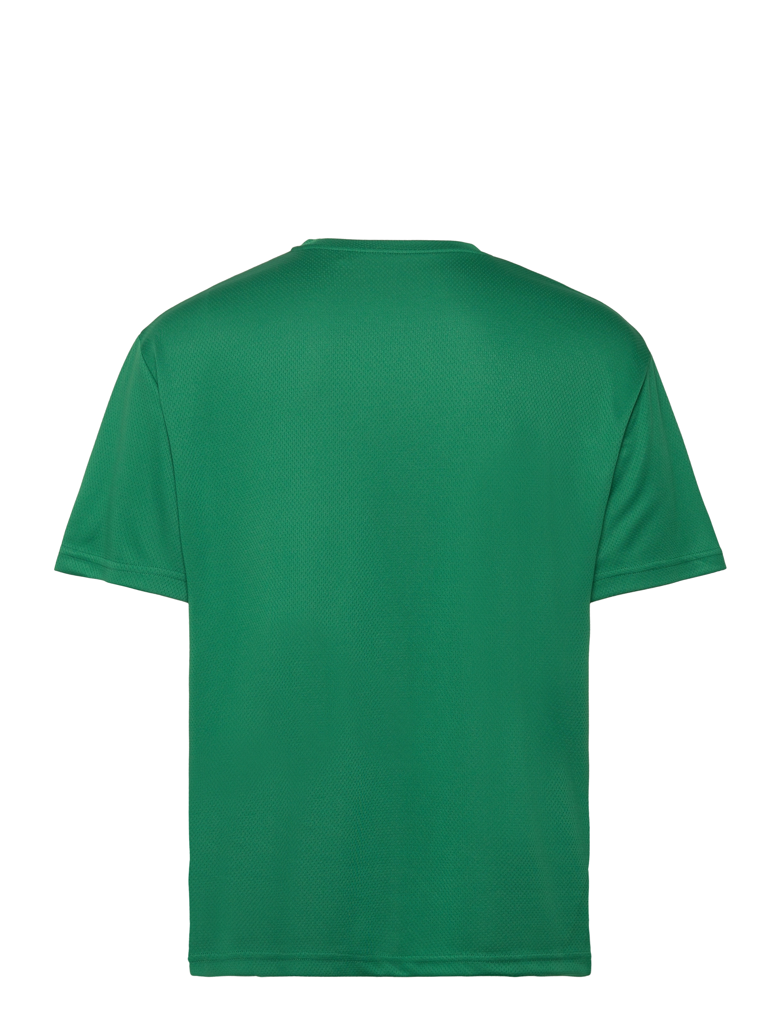 Björn Borg - BORG LOOSE T-SHIRT - verdant green - 1