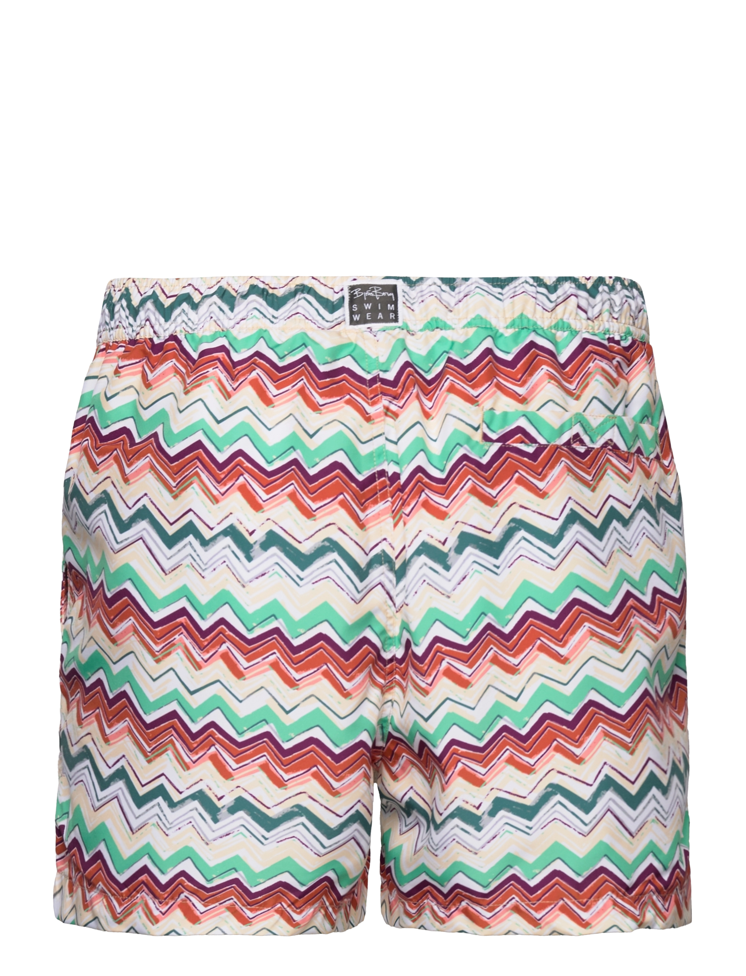 Björn Borg - BORG PRINT SWIM SHORTS - bb ziggy - 1