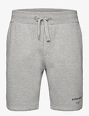 Björn Borg - BORG LOGO SHORTS - training shorts - light grey melange - 0