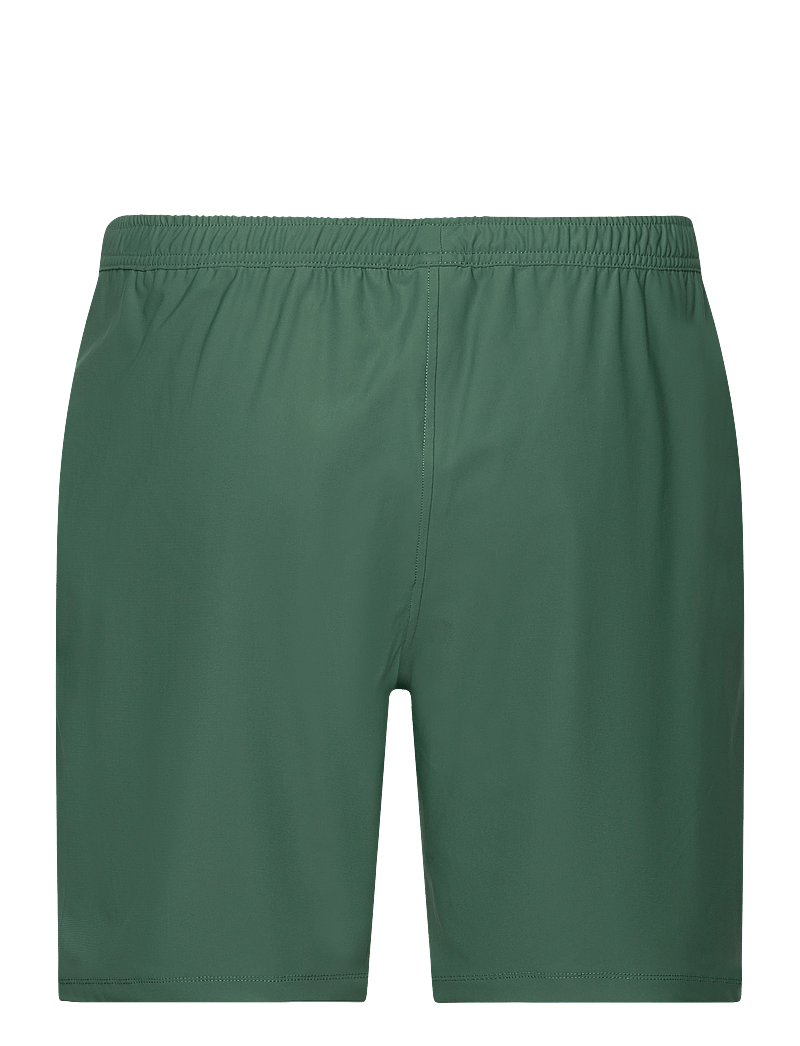 Björn Borg - ACE 9’ SHORTS - trainingsshorts - sycamore - 2