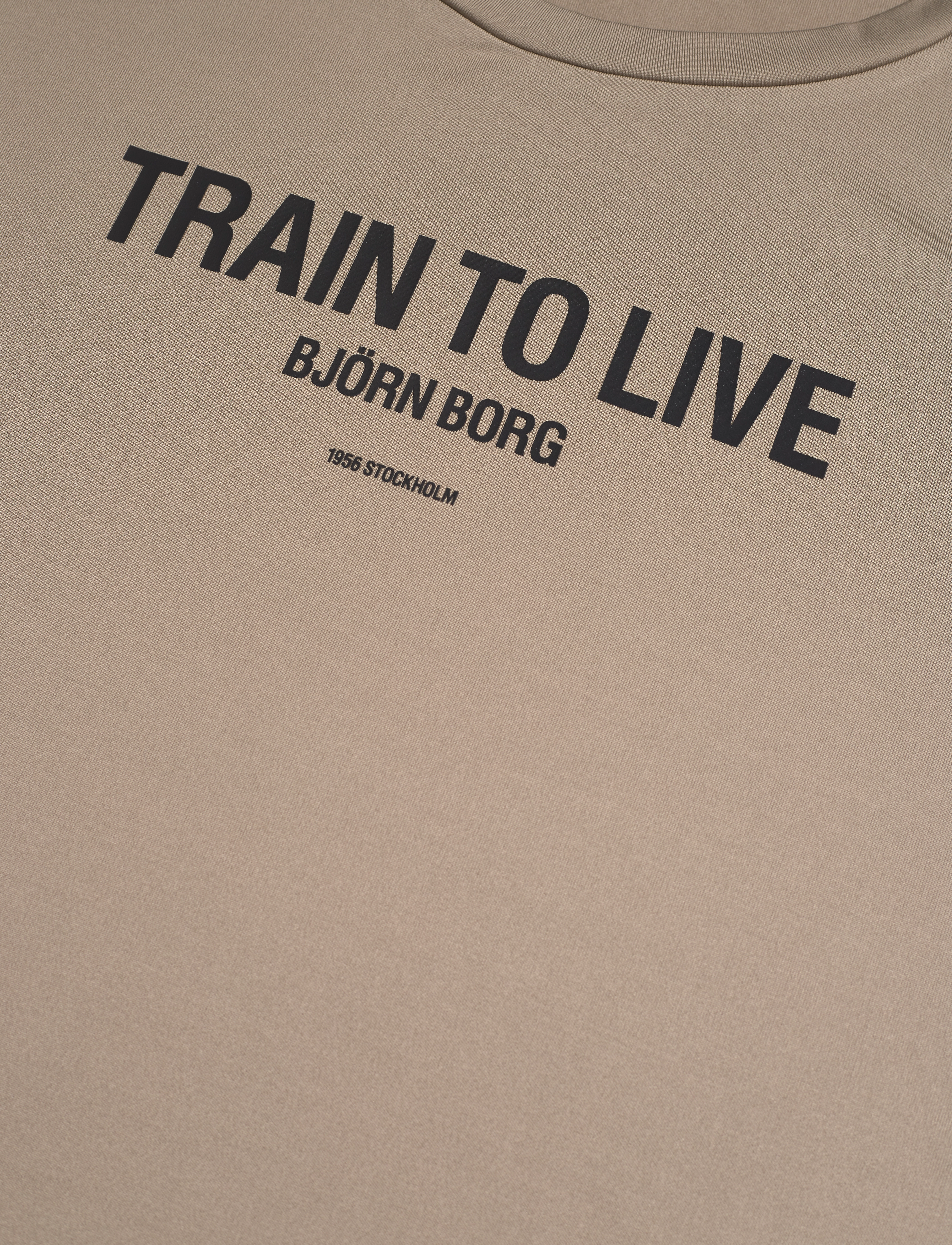 Björn Borg - BORG GRAPHIC T-SHIRT - winter twig - 2