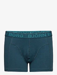Björn Borg - CORE BOXER 7p - apatinės kelnaitės - multipack 2 - 10