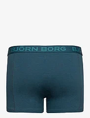 Björn Borg - CORE BOXER 7p - apatinės kelnaitės - multipack 2 - 11