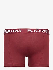 Björn Borg - CORE BOXER 3p - apatinės kelnaitės - multipack 1 - 3