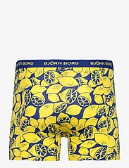 Björn Borg - COTTON STRETCH BOXER 3p - lowest prices - multipack 5 - 5