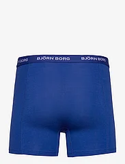 Björn Borg - COTTON STRETCH BOXER 5p - boxerkalsonger - multipack 2 - 5