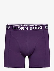 Björn Borg - COTTON STRETCH BOXER 7p - boxerkalsonger - multipack 3 - 6