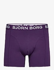 Björn Borg - COTTON STRETCH BOXER 7p - boxerkalsonger - multipack 3 - 7