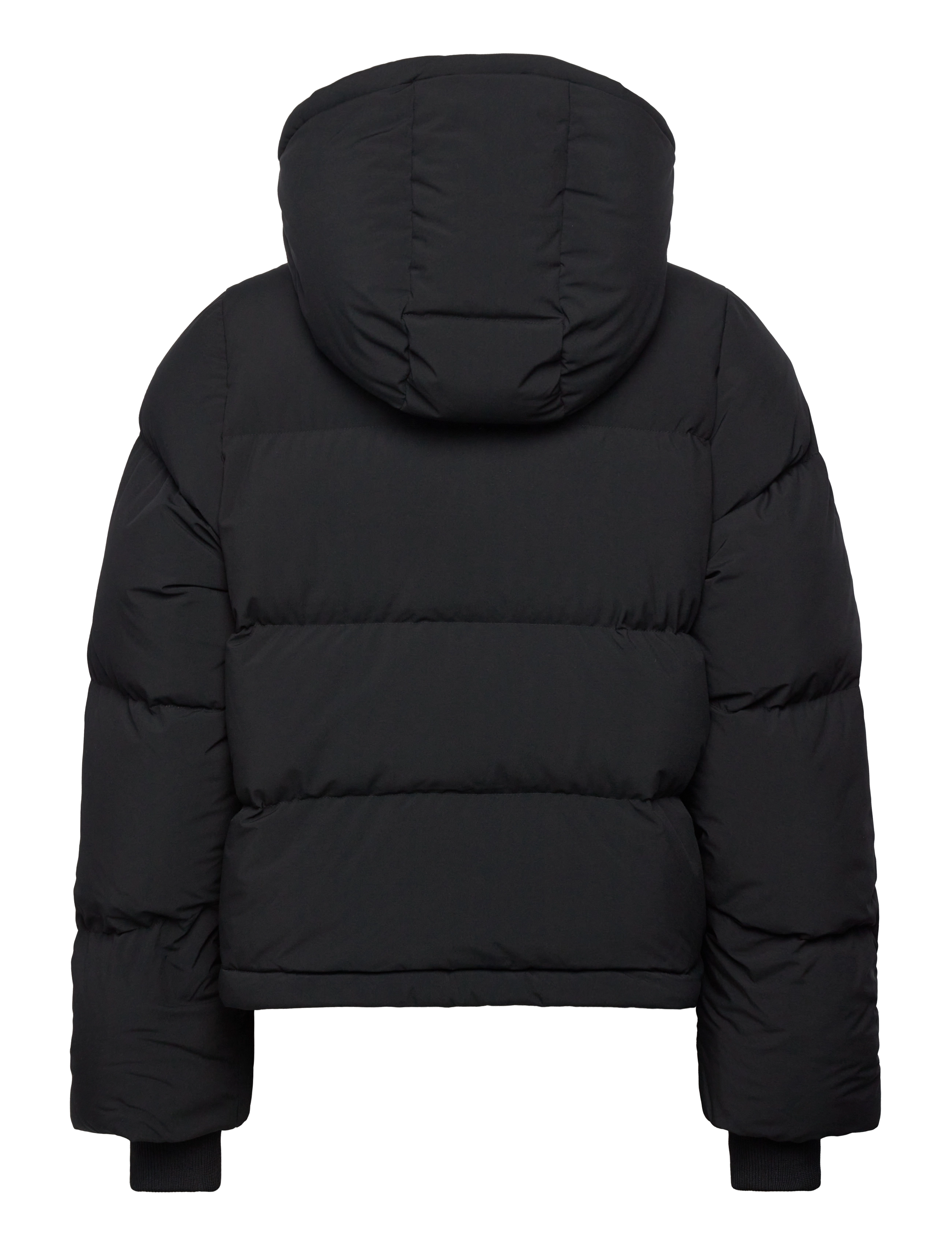 Björn Borg - STUDIO PUFFER JACKET - dun- & vadderade jackor - black beauty - 2