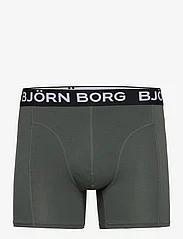 Björn Borg - BAMBOO BOXER 2p - pohjoismainen tyyli - multipack 1 - 2