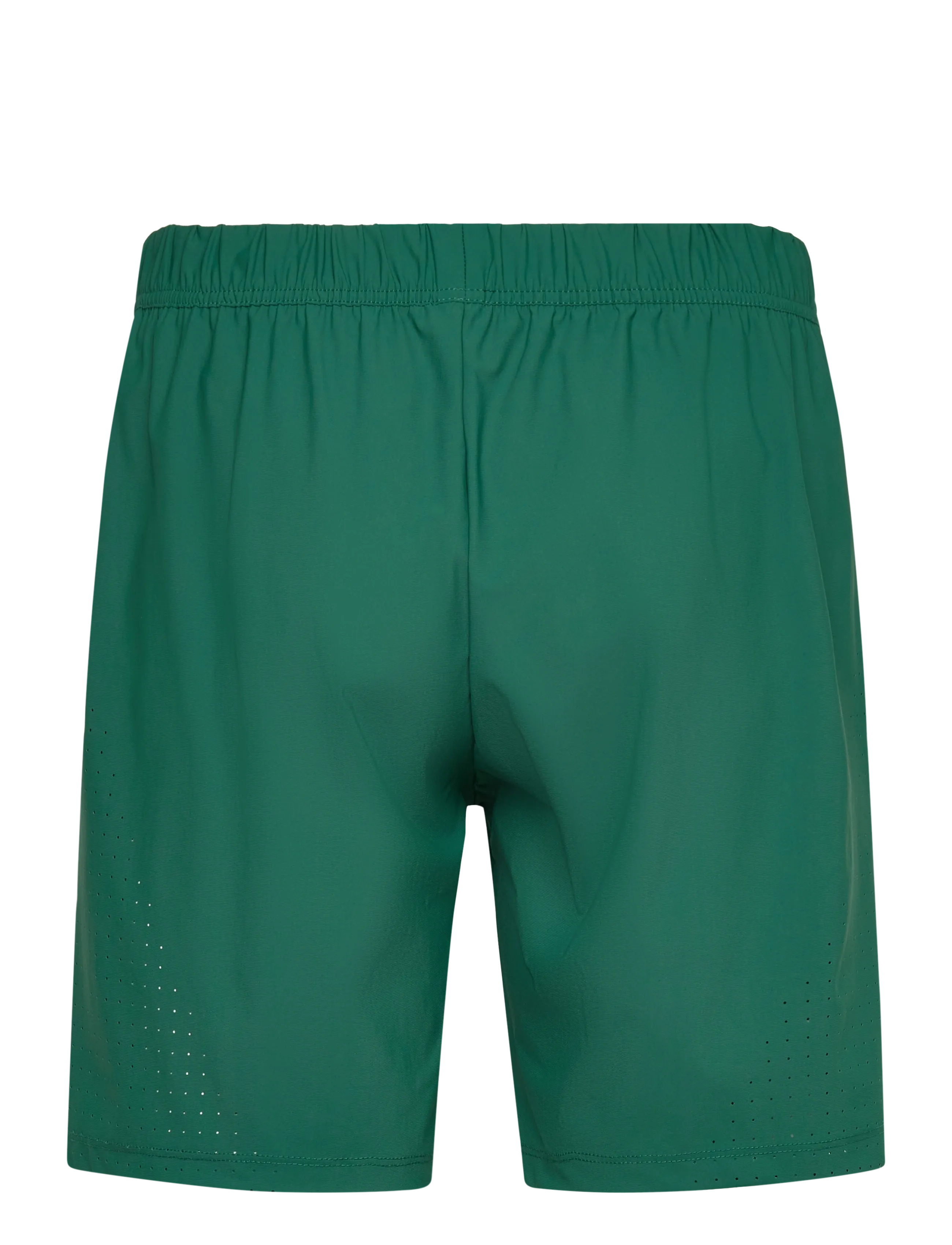 Björn Borg - ACE SPORTS 8" SHORTS - træningsshorts - posy green - 1
