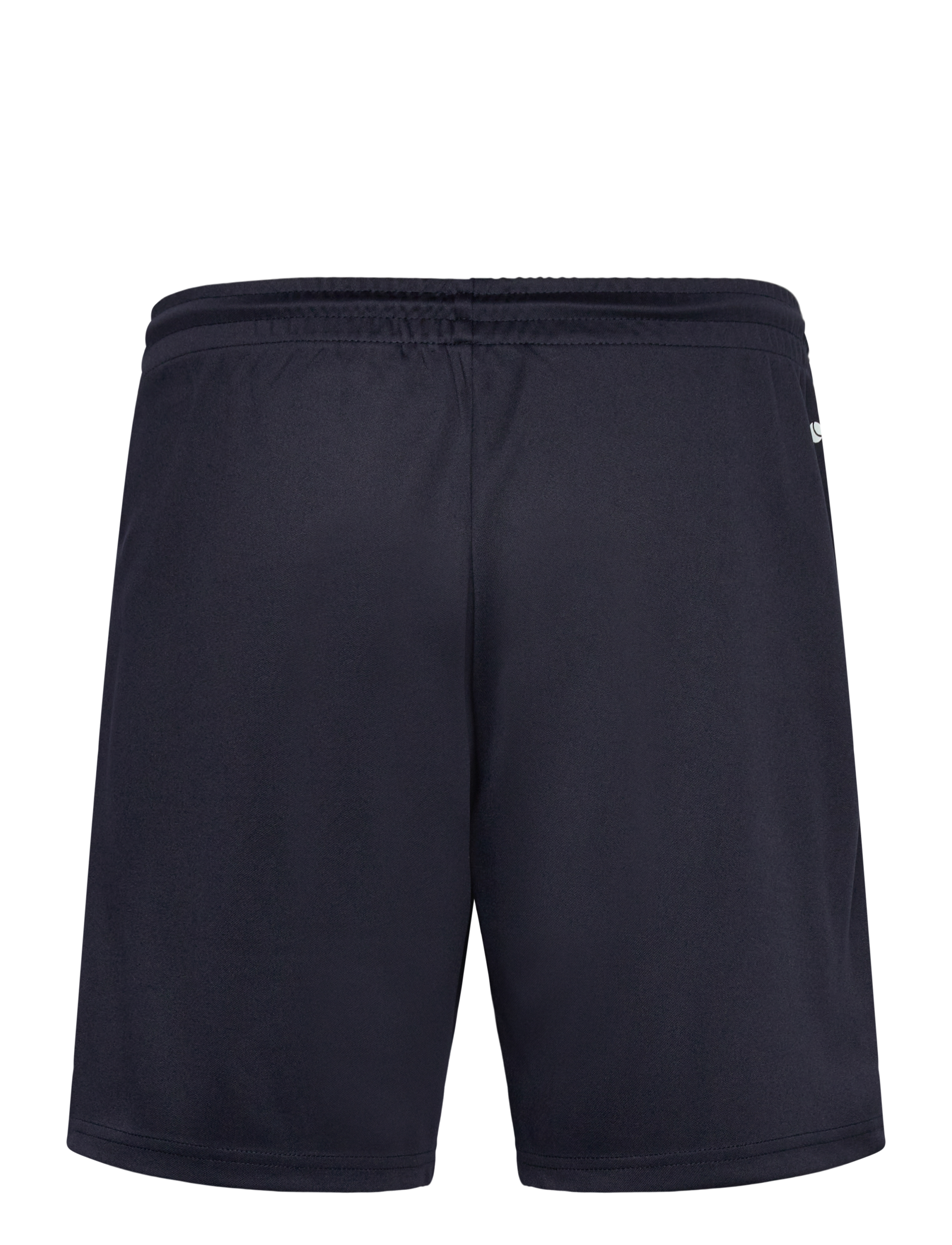 Björn Borg - BORG ESSENTIAL ACTIVE 8" SHORTS - lühikesed treeningpüksid - night sky - 1