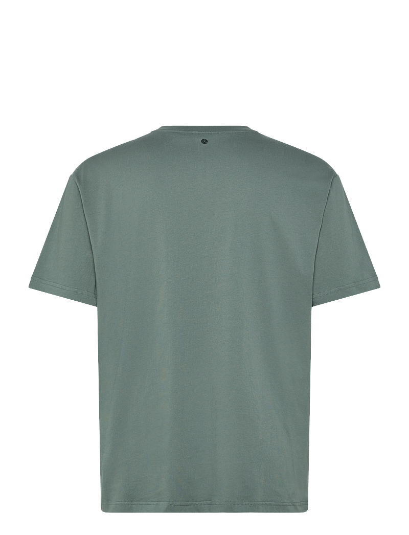 Björn Borg - BORG CLASSIC T-SHIRT - t-särgid - balsam green - 1