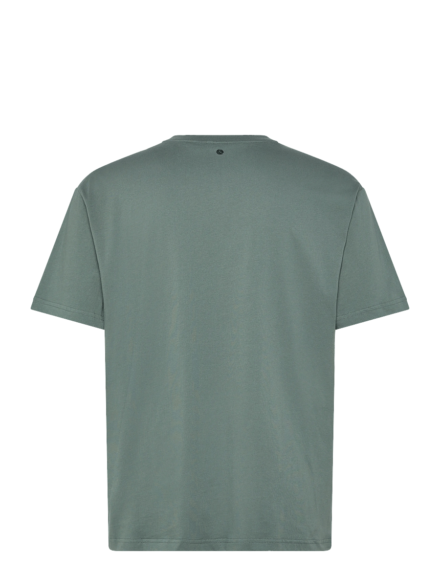 Björn Borg - BORG CLASSIC T-SHIRT - t-shirts - balsam green - 1