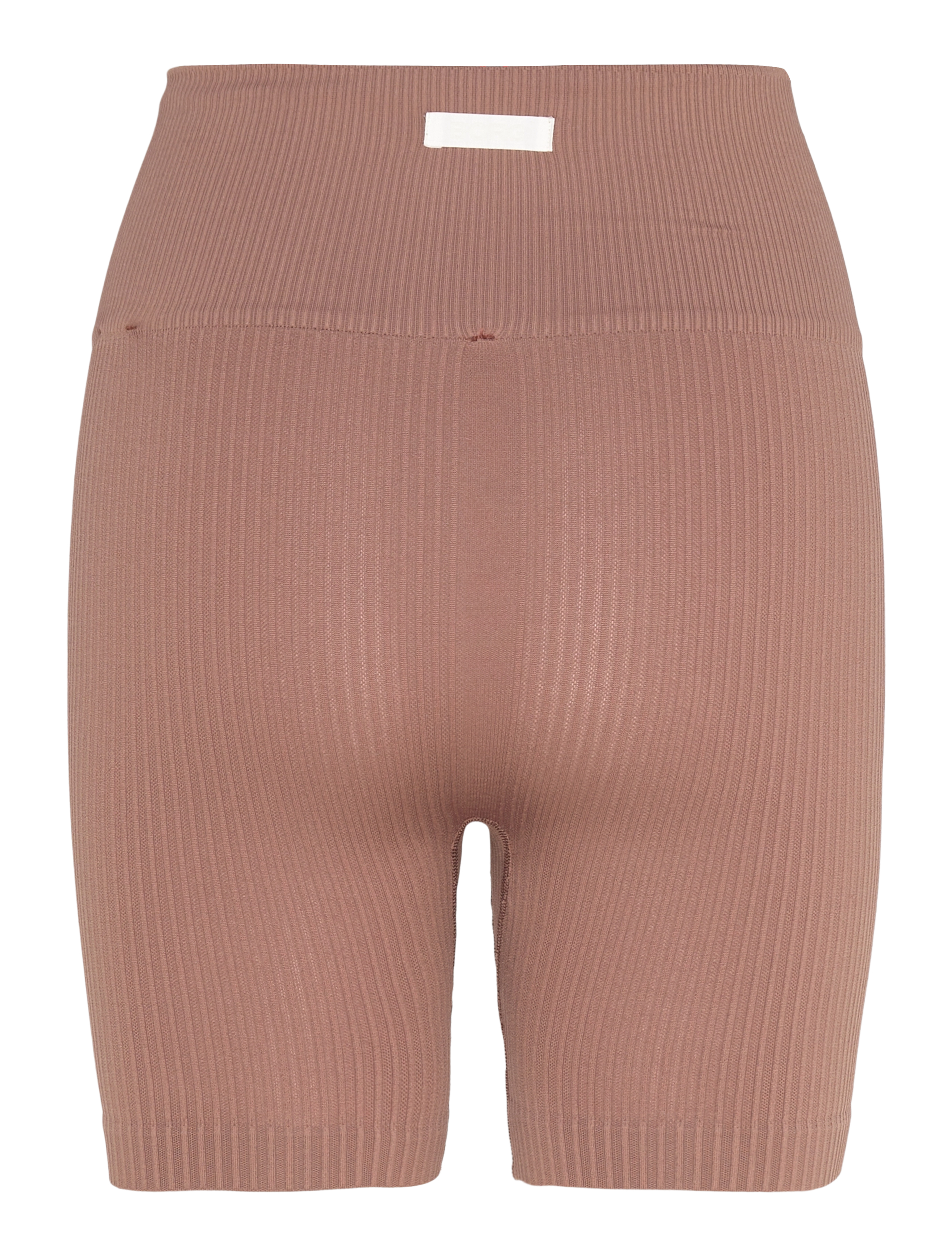 Björn Borg - STUDIO SEAMLESS RIBBED SHORTS - trainingstights - acorn - 1