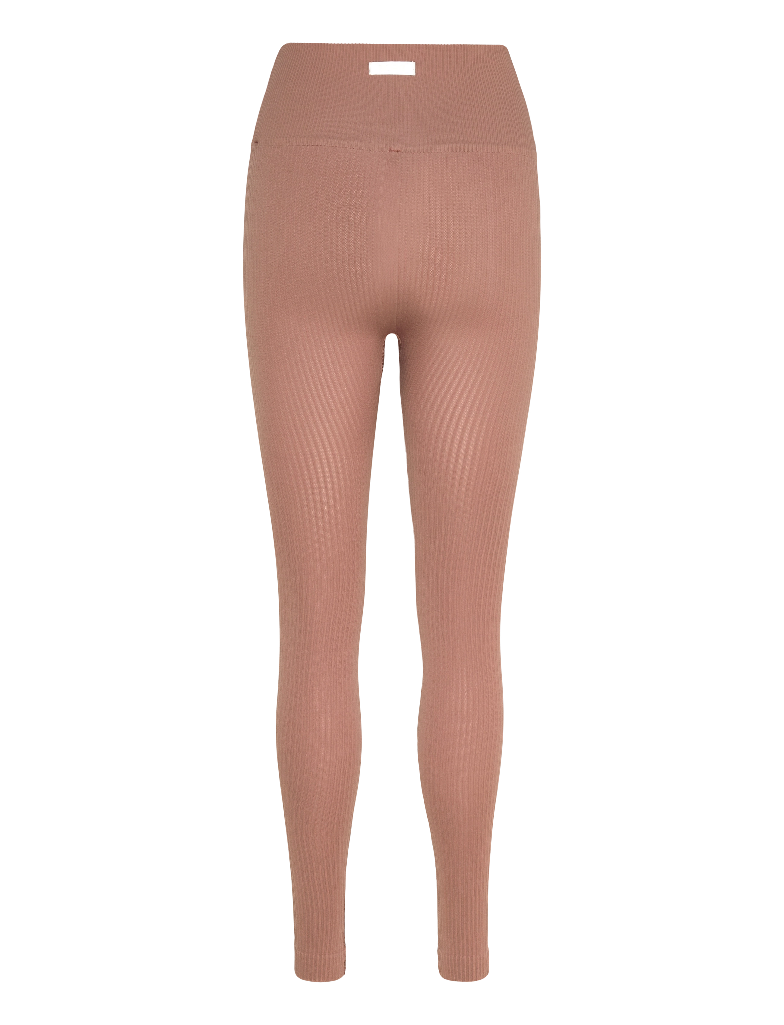 Björn Borg - STUDIO SEAMLESS RIBBED TIGHTS - trainingstights - acorn - 1