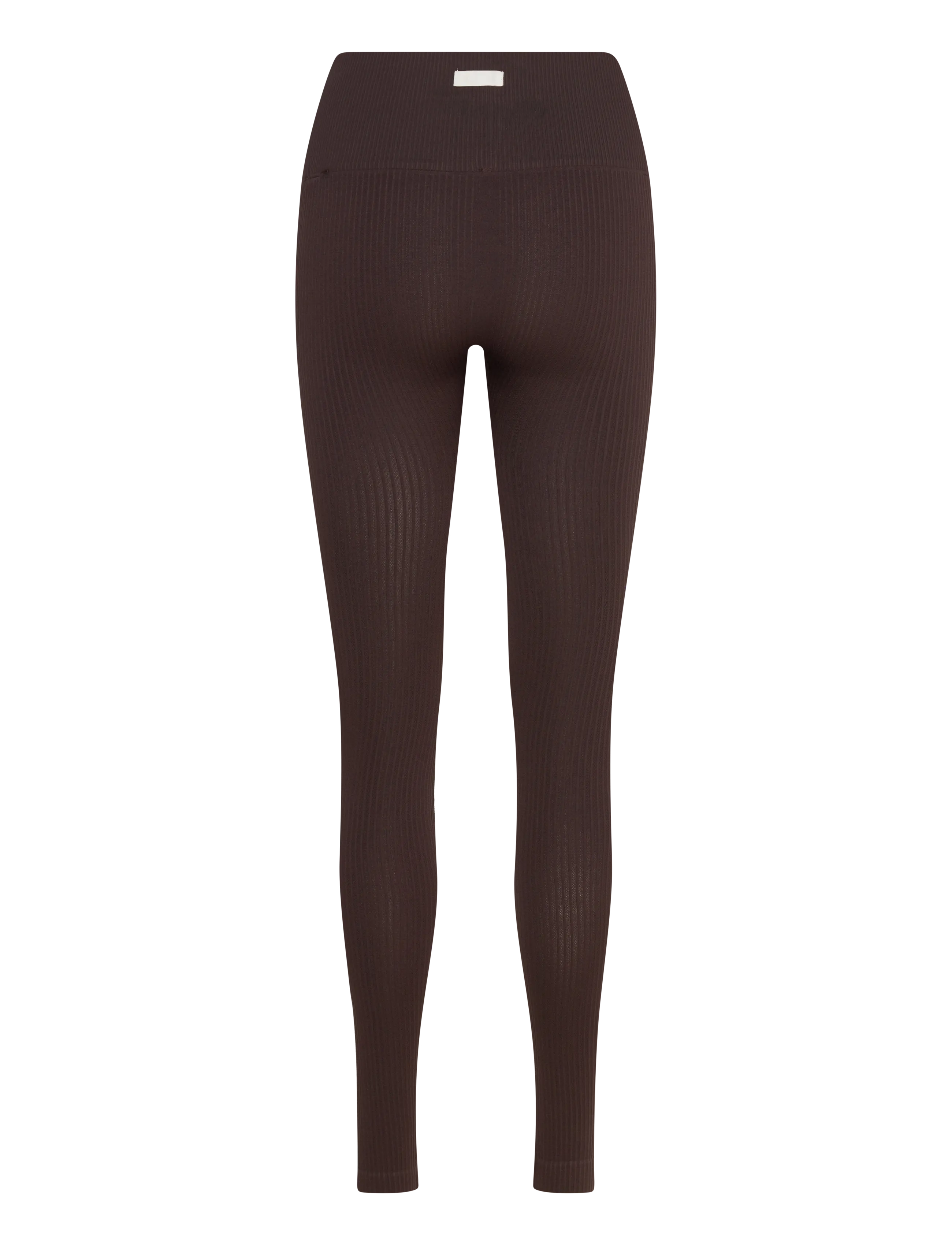 Björn Borg - STUDIO SEAMLESS RIBBED TIGHTS - trainingstights - molÉ - 1