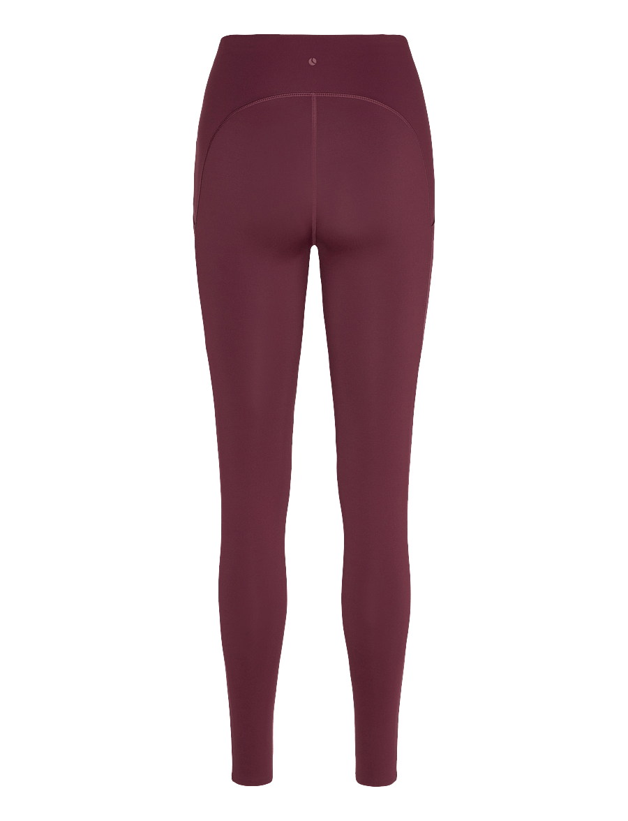 Björn Borg - BORG REFORM PREMIUM TIGHTS - legginsy do ćwiczeń - port royale - 1