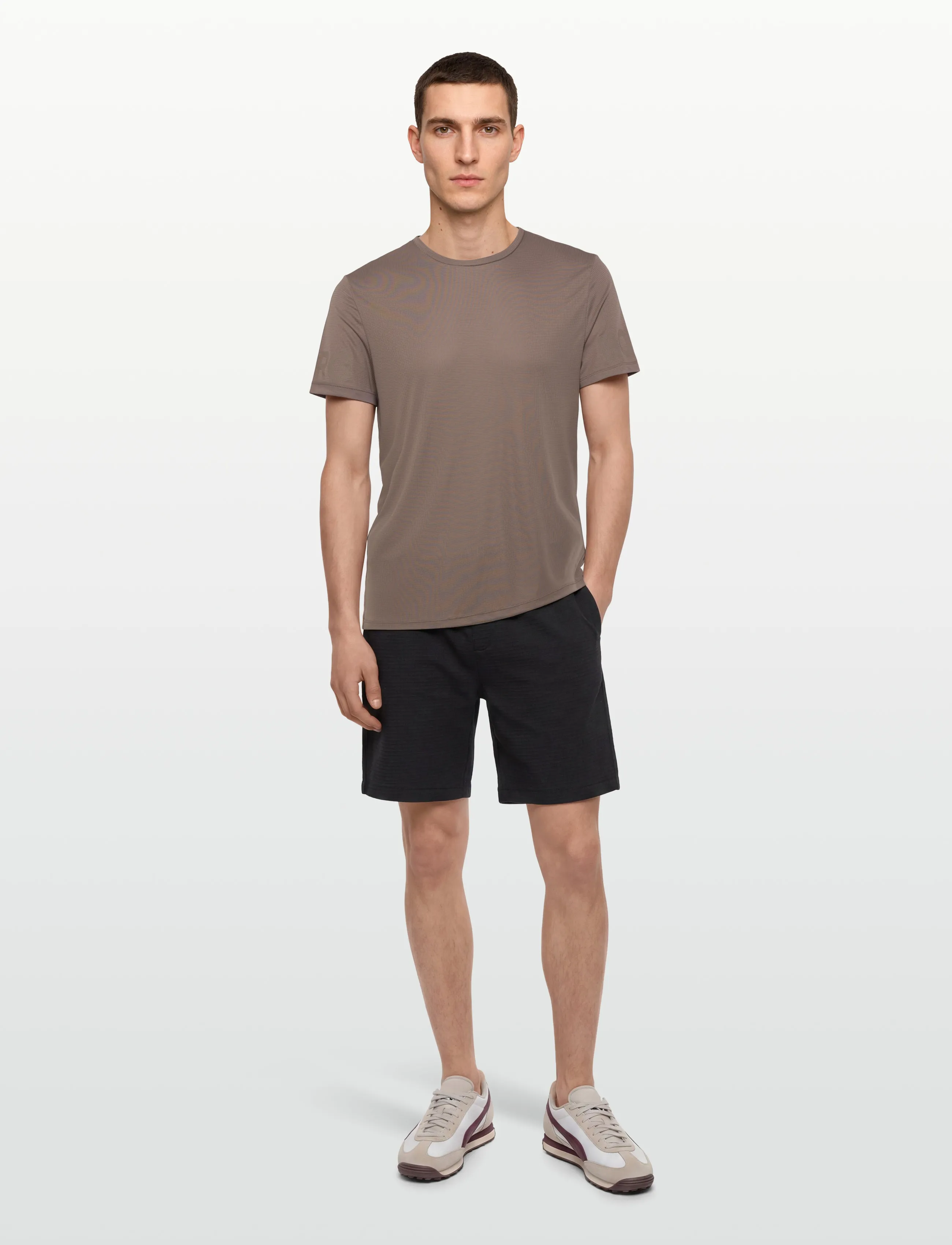 Björn Borg Borg Light T-Shirt, L, Brown, Sport Overdele > Sport T-shirts, Herre