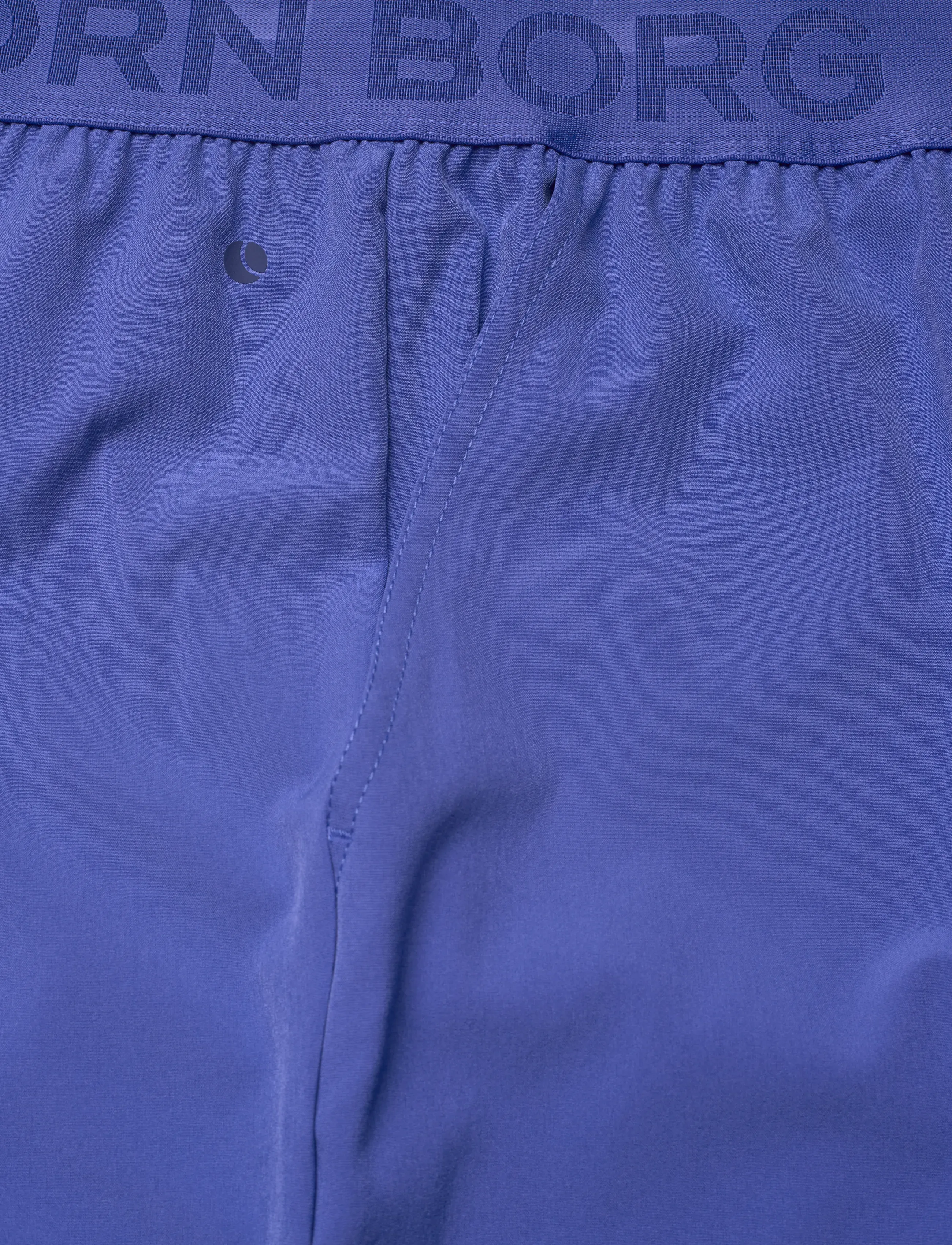 Björn Borg - BORG 9" SHORTS - trainingsshorts - amparo blue - 2