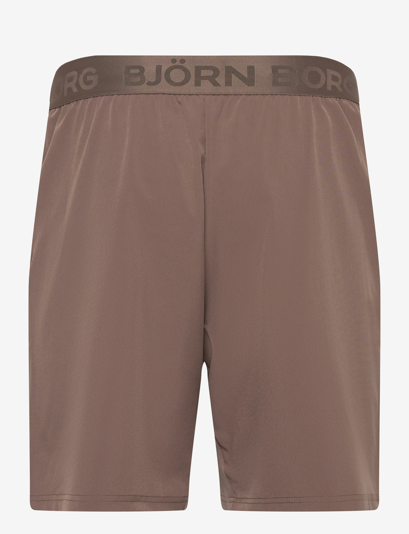 Björn Borg - BORG 9" SHORTS - trainingsshorts - falcon - 1