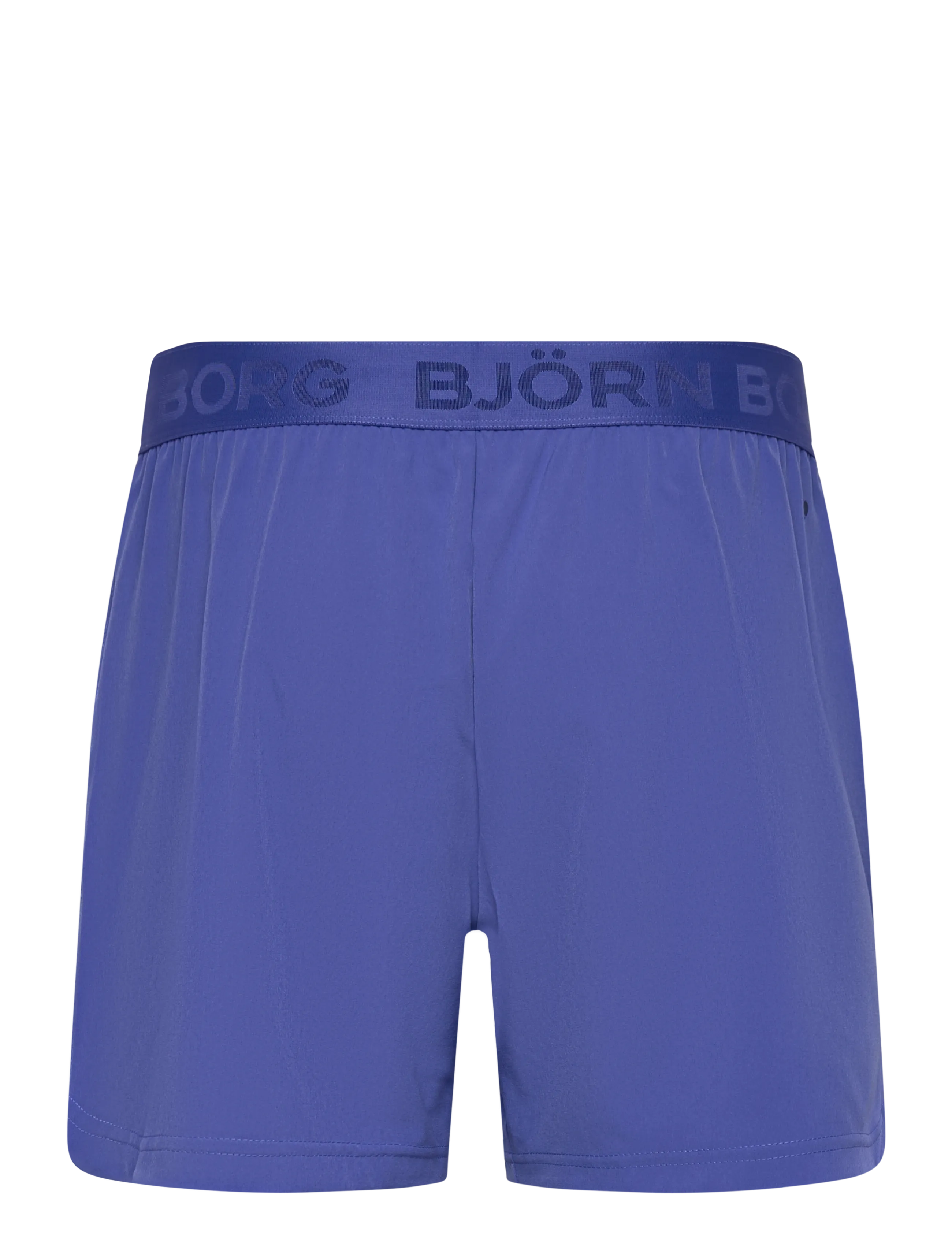 Björn Borg - BORG 6" SHORTS - lühikesed treeningpüksid - amparo blue - 1