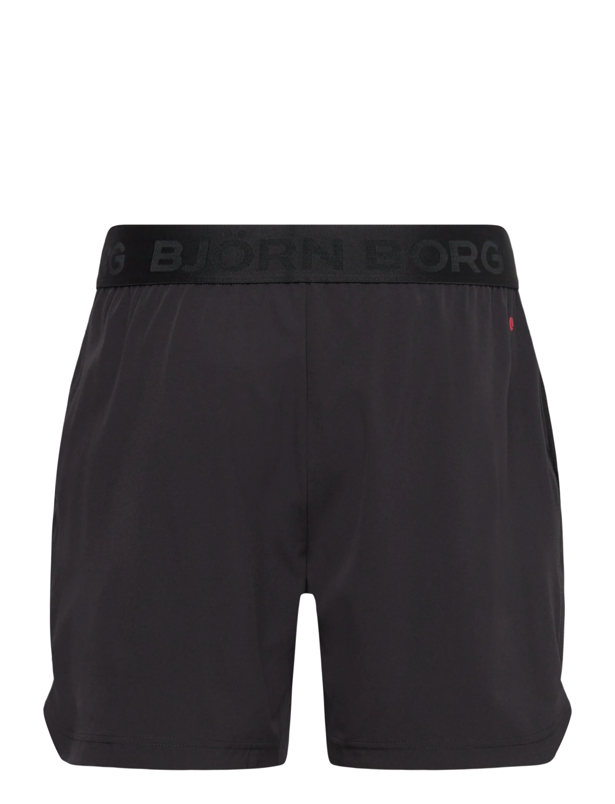 Björn Borg - BORG 6" SHORTS - lühikesed treeningpüksid - black beauty - 1