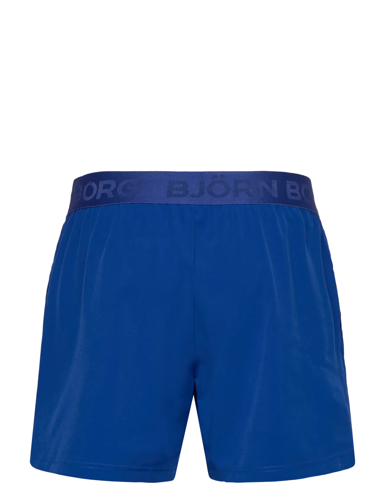 Björn Borg - BORG 6" SHORTS - lühikesed treeningpüksid - surf the web - 1
