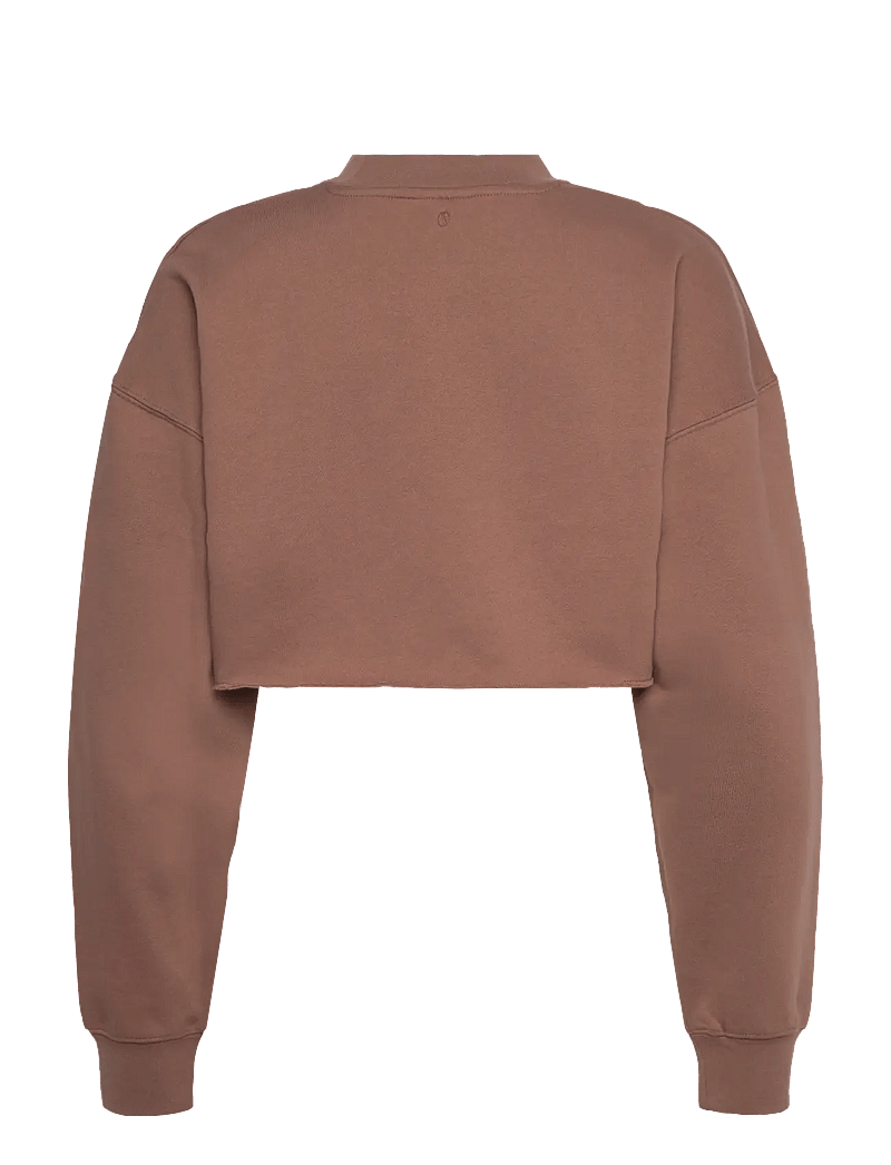 Björn Borg - STUDIO OVERSIZED CROPPED SWEATSHIRT - oberteile - acorn - 1